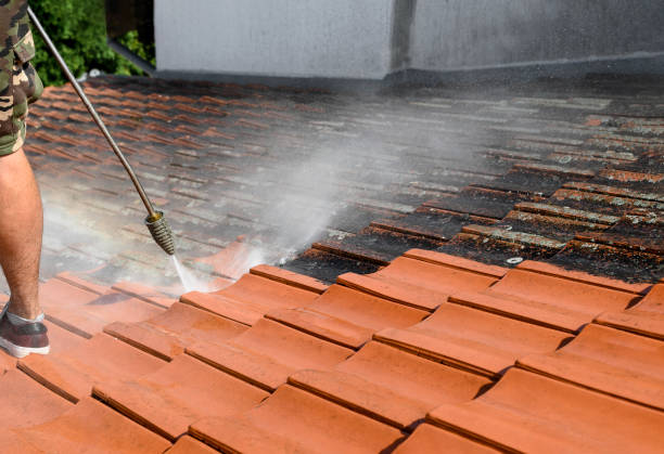 Local Pressure Washing Services in Willard, MO