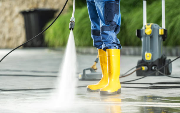 Best Best Pressure Washing Companies  in Willard, MO